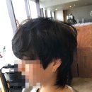 세미헤어 네이버블로그