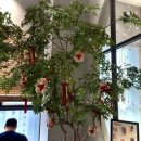 마중 | [파주 카페 디저트] 라떼·말차바스크치즈케이크 맛집 — 카페 마중 방문 후기