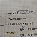 시각장애 홍채의 기능 필기 관련 질문 이미지