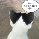 [LIFE 겨울방학 특강] 달콤간식 만들기 | 사랑이 가득한 22년이 되길