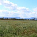 하남 천주교 명례 성지 이미지