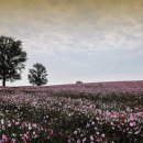 연두목장 이미지