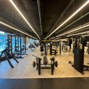 피트니스 리본 이미지