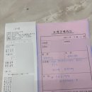 오이스터 3 플러스 샴페인샌드 구매후기