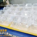 영남덴탈 이미지