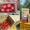 풍산농원 이미지