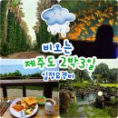남쪽 일정 및 경비 공유 / 7월1일~7월3일 / 너무나 만족했던 휴가💘 / 내돈내산 솔직후기 / 서귀포 여행