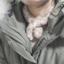 래빗스토리