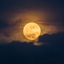 CW-1836-01 이미지