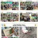 순환농장 | [태국지부] 해피빈 모금 소식 및 모금 후기_GHT 자급자족순환농장