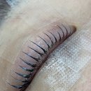 대구 동구 신기동 율하동 속눈썹펌 전문 파피뷰티 아웃라인 쌍꺼풀에 바짝컬 망고롯드