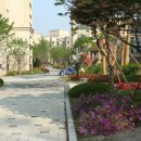 대명세라뷰 Daum카페