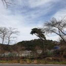 남목역사누리길 이미지