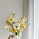 소망정보 이미지