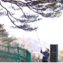 만지송 이미지