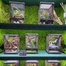 호텔네이처 부산신항점 | 부산 센텀시티 파충류카페 어반네이처 강추!!