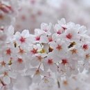 넘버원공인중개사사무소 이미지