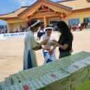 세븐네이쳐 이미지