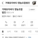 거제유자바다 영농조합법인