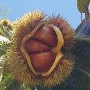 김동일농장 이미지