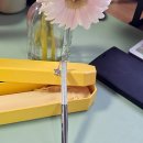 선물 | 스와로브스키 볼펜 크리스탈린 옥타곤 선물 후기