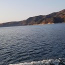 태곡농장 이미지