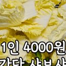 지에스더프레시수지