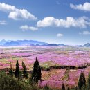 무릉도원 이미지