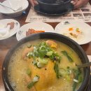 백세삼계탕 일산점 | [고양] 노란 상황버섯 삼계탕! 백세삼계탕 일산점 방문 후기