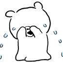 다오동물병원 이미지