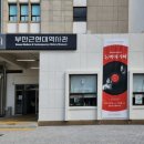 주식회사소랑동백 | 부산근현대역사관 특별전시 - 동백아가씨 관람 후기