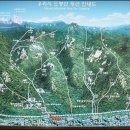 분당구미안경 이미지