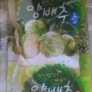 다이어트웰빙하우스 이미지