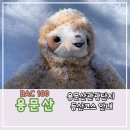 용문산 등산 코스 - 관광단지 대중교통 안내 (Feat. 만두 5팩 사 온 후기)
