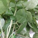 윤희네농장 이미지