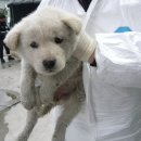 토평공단로 이미지