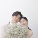 아뜰리에 포유 수정본 후기
