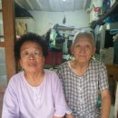 세라톤보청기 이미지