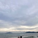 바하펜션 이미지