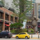 느낌it개 이미지