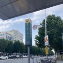 달빛꽃담