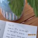 한씨민박 | 경기도촌캉스 강아지와 아기와 함께 가기 좋은 힐링 숙소 꼬순이네 민박 후기