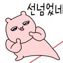 더블유복싱 이미지