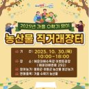 해운대이벤트광장 이미지