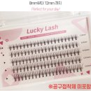 꿀딴지몰 이미지