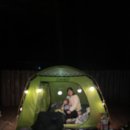 강원도 여행/ 첫 캠핑 도전, 휘게포레스트 예약 성공한 초보 캠퍼 가족 feat. 반전주의, 긴 글 주의.