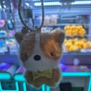 인형뽑기# | 청주 커넥트현대 커넥트액션 후기｜게임,가챠,인형뽑기 한곳에