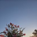 효니네 민박 이미지