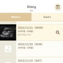 280데이즈 이미지