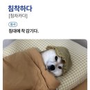 리빈드